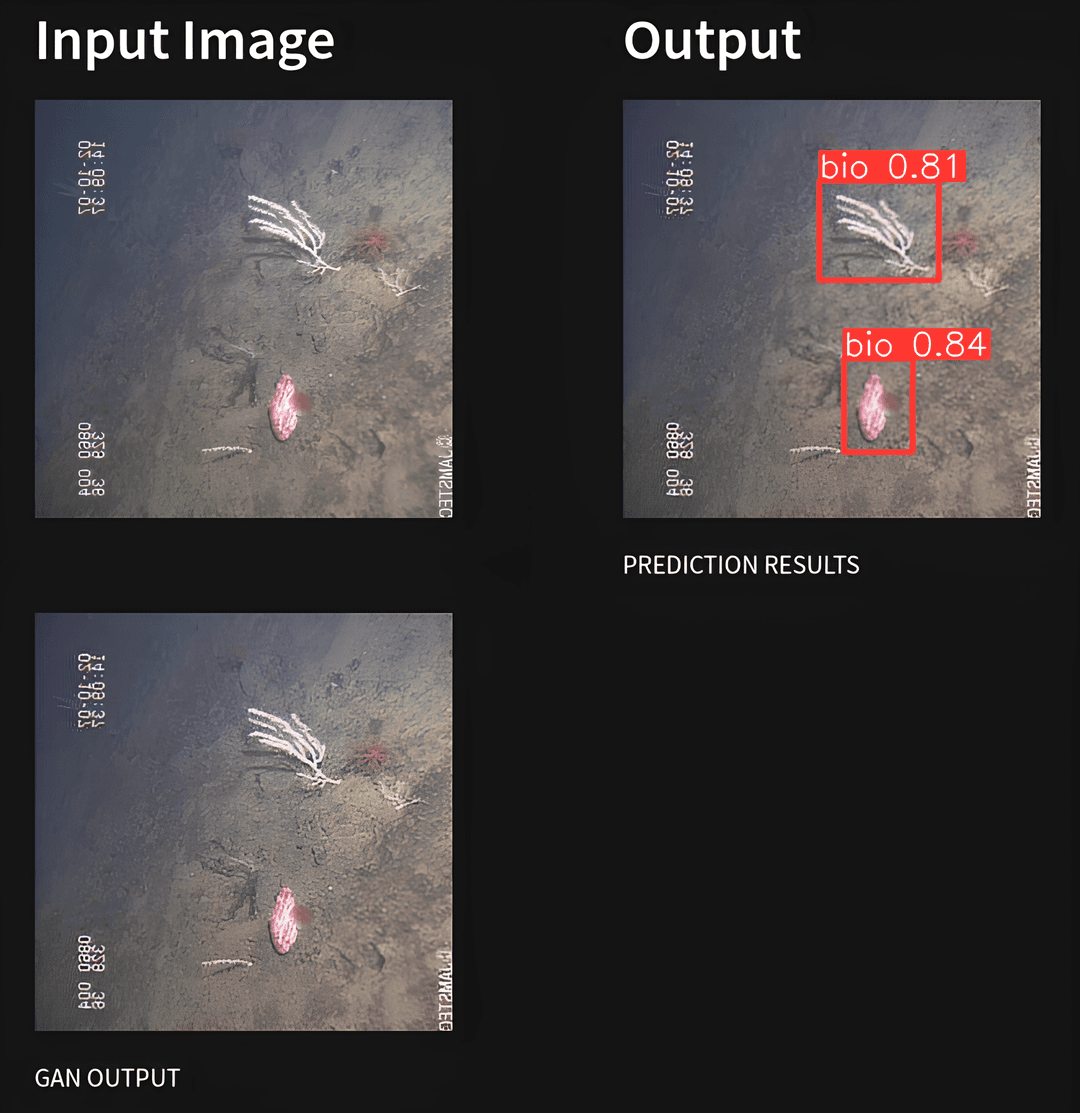 objectDetection2